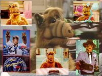 ���� (Alf)