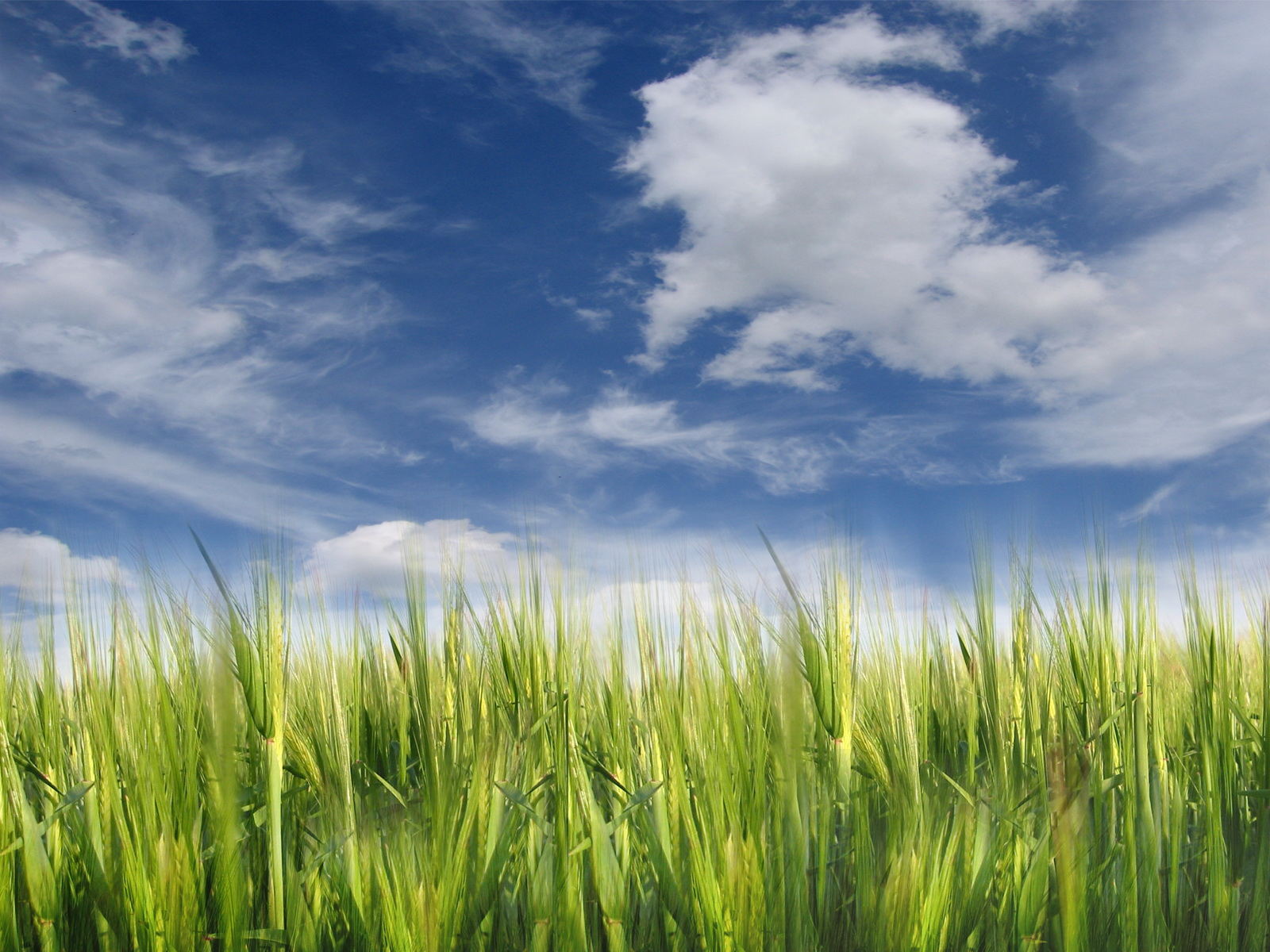 bluesky-1600.jpg