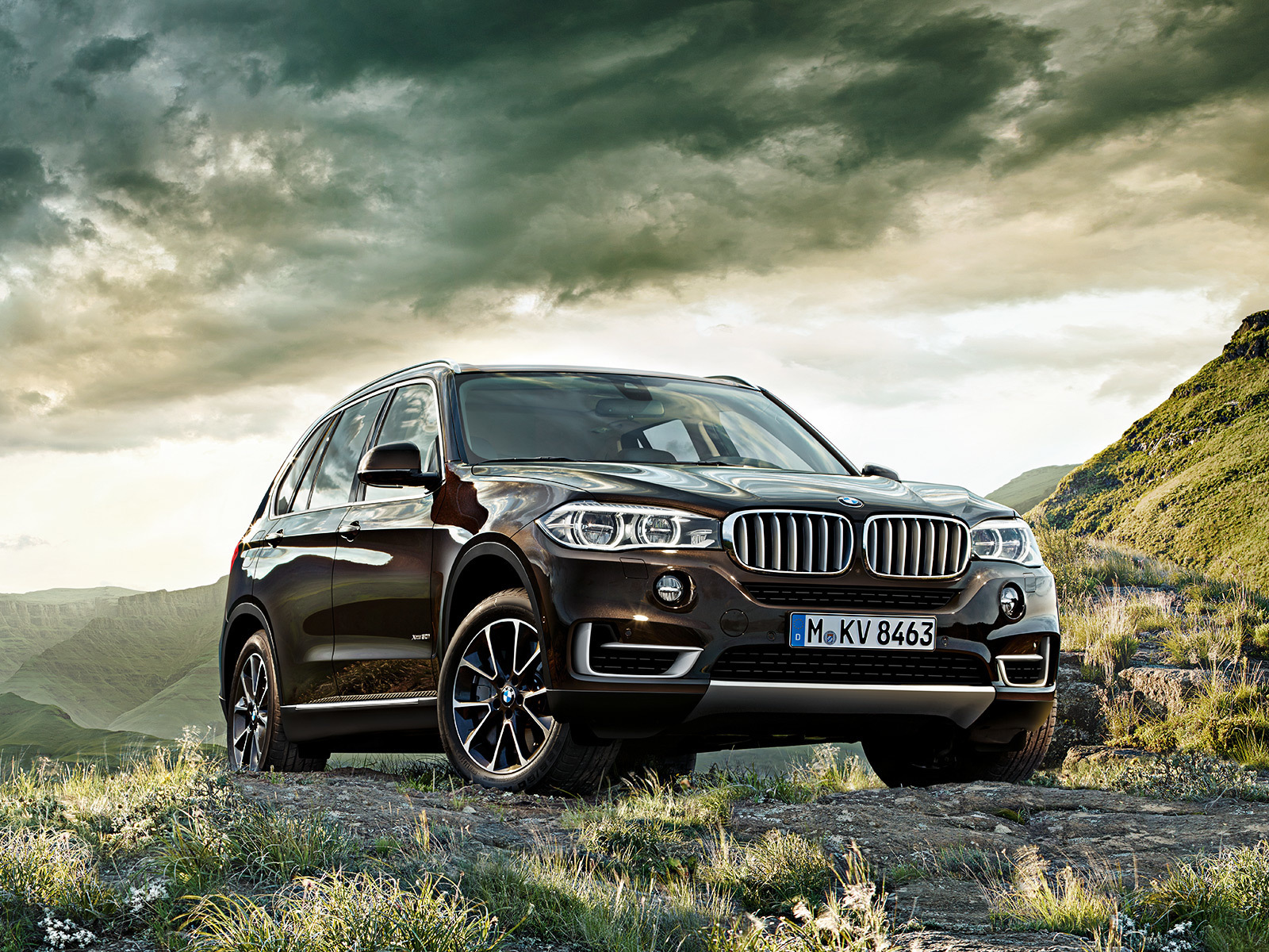BMW X5 2014