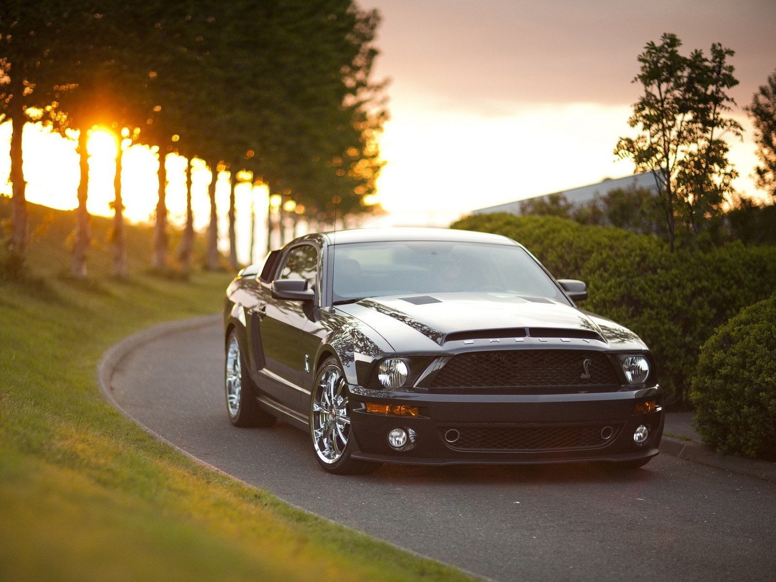 Ford Mustang GT