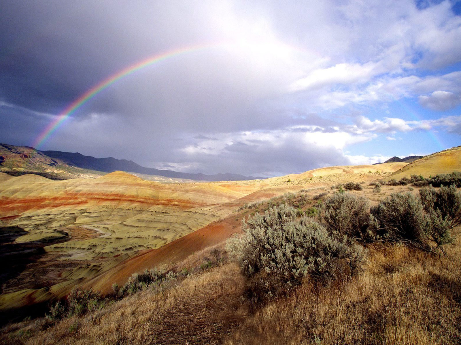 ������