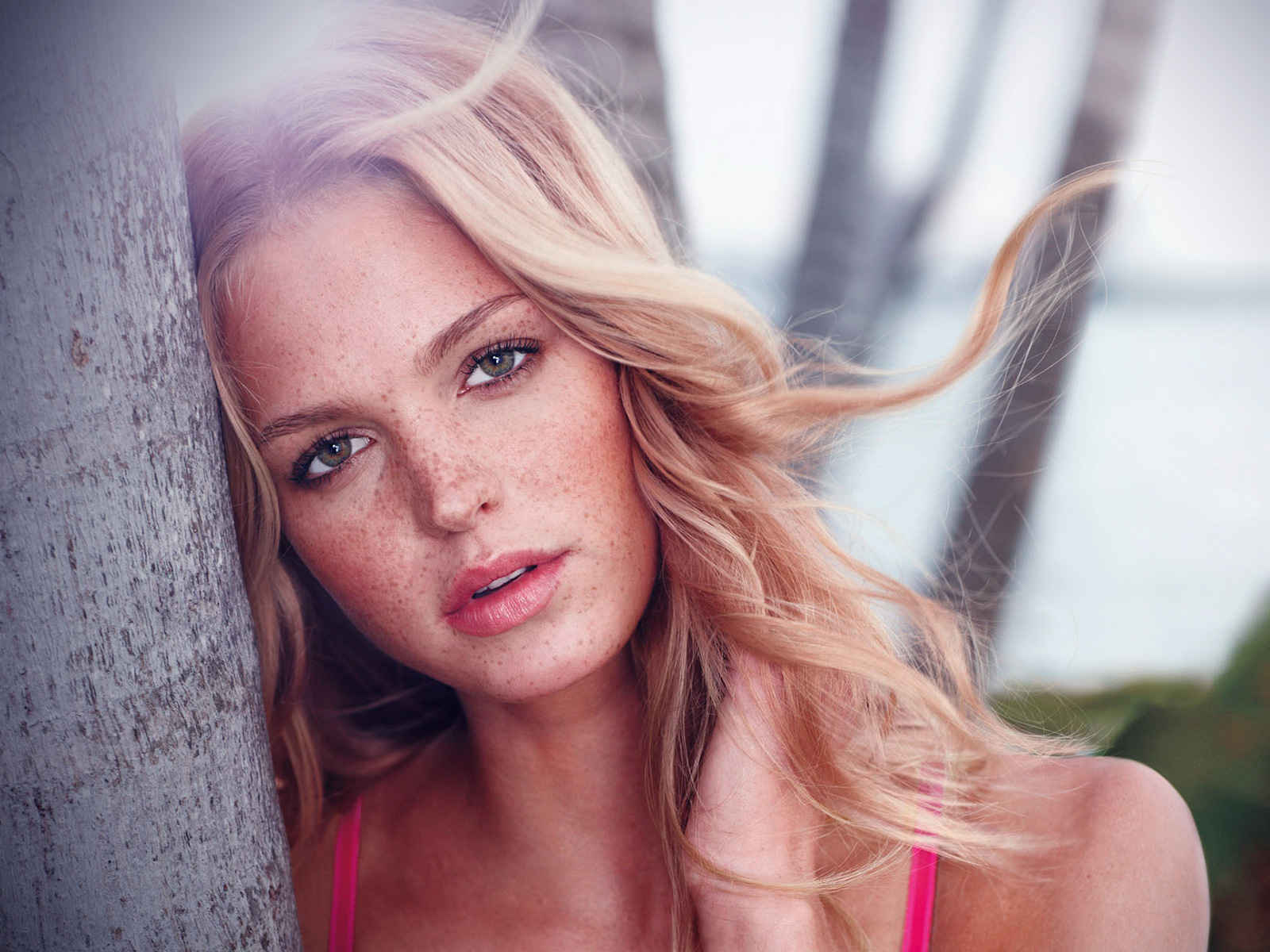 ���� �������� (Erin Heatherton)