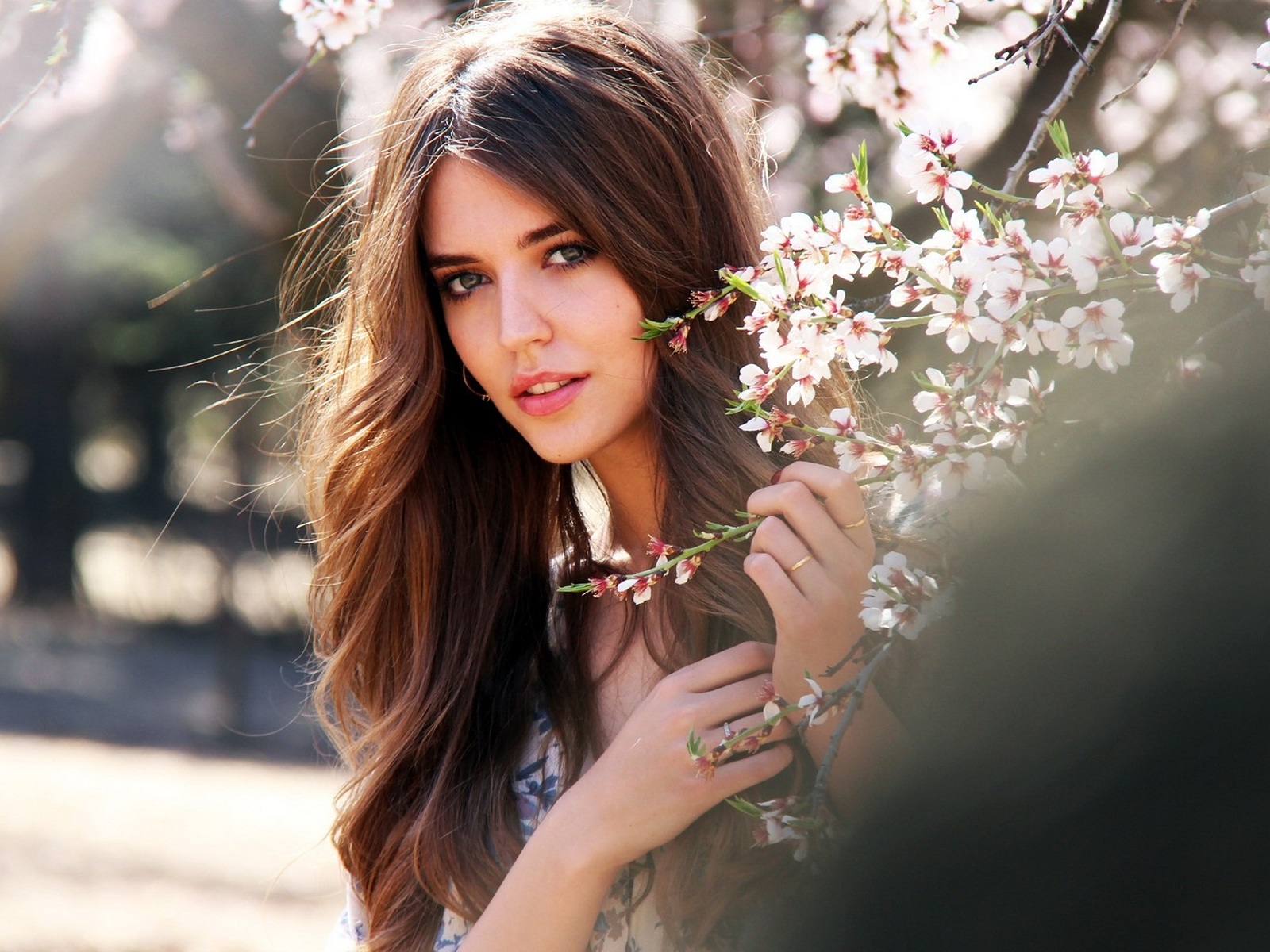 ����� ������ (Clara Alonso)
